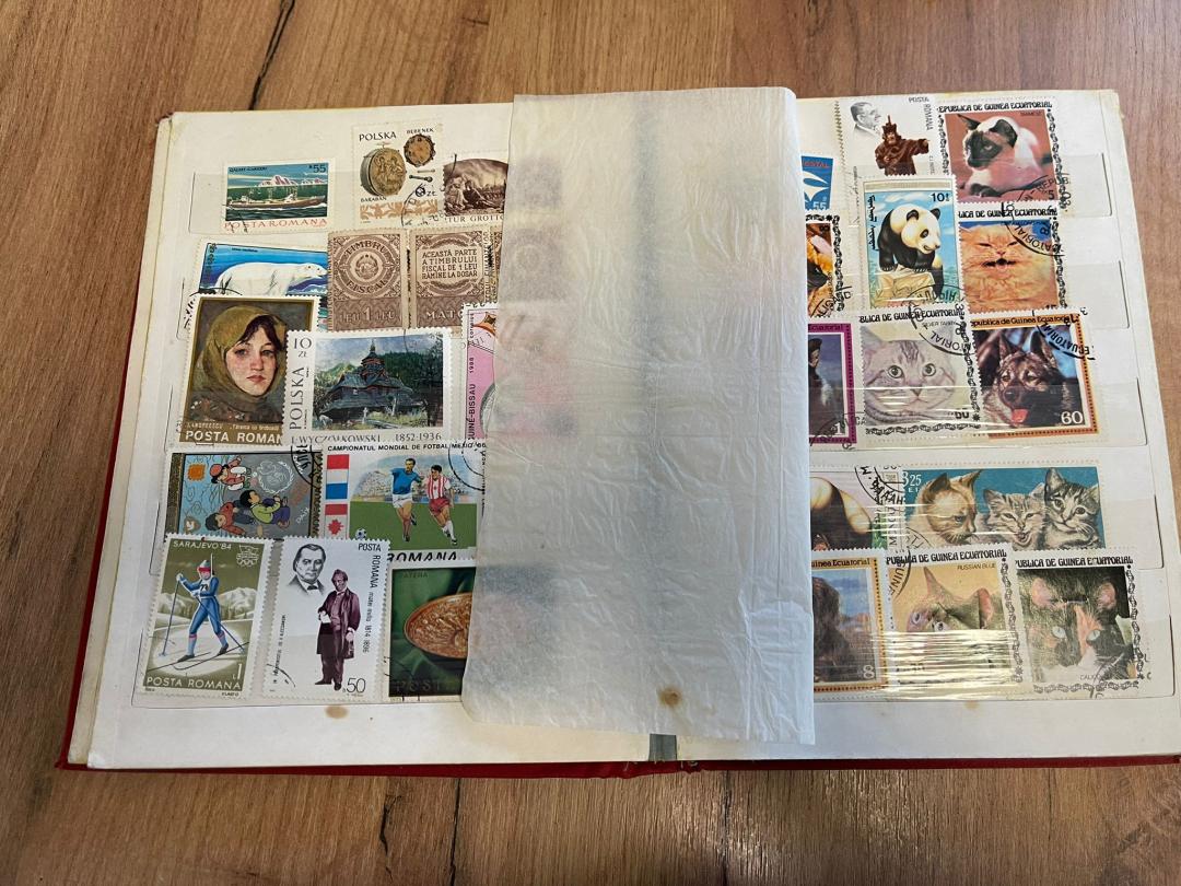Clasor de timbre image 7