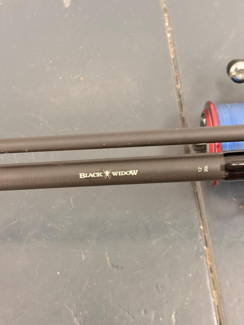 Lanseta de pescuit Daiwa Black Widow XT image 3