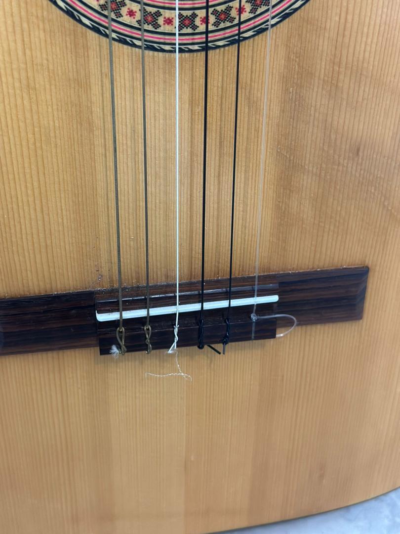 Chitara Clasica Hofner Luxor image 3