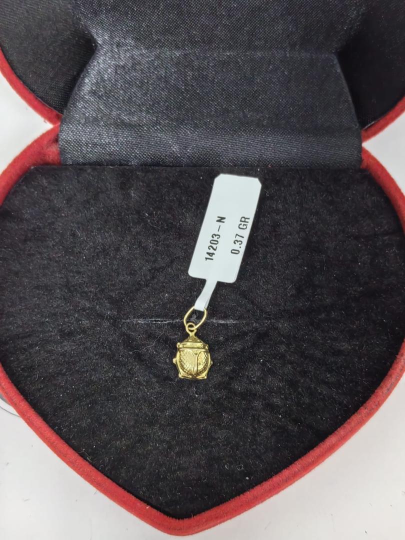 Medalion aur image 2